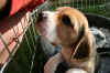 hello.jpg (87154 bytes)